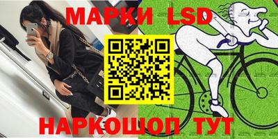 Альфа ПВП Кандалакша