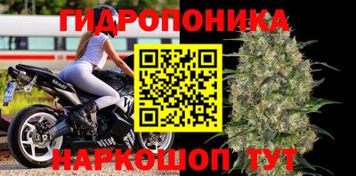 MESCALINE Камышлов